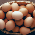 The Truth About Farm-Fresh Eggs: A Nutrition Expert's Perspective