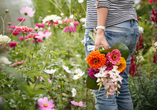 Why Choose Sustainable Eco-Conscious Organic Farm Fresh Flowers Delivery For Your Home